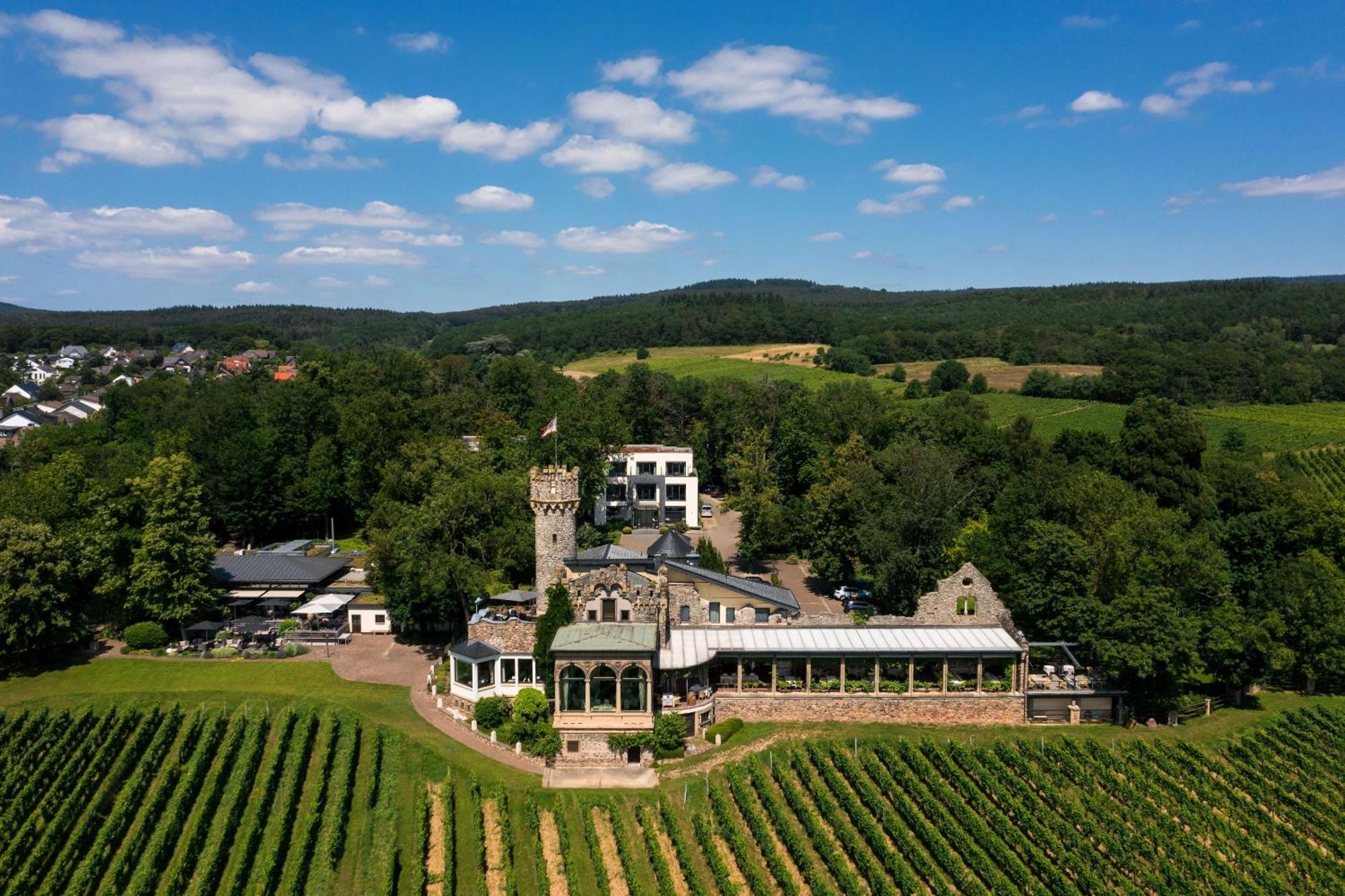 Relais & Chateaux Hotel Burg Schwarzenstein 가이젠하임 외부 사진